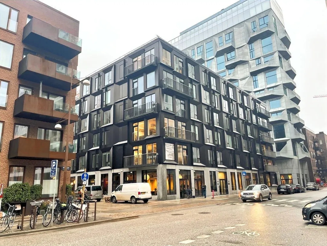 Koka karkasa mājas būvniecības projekts